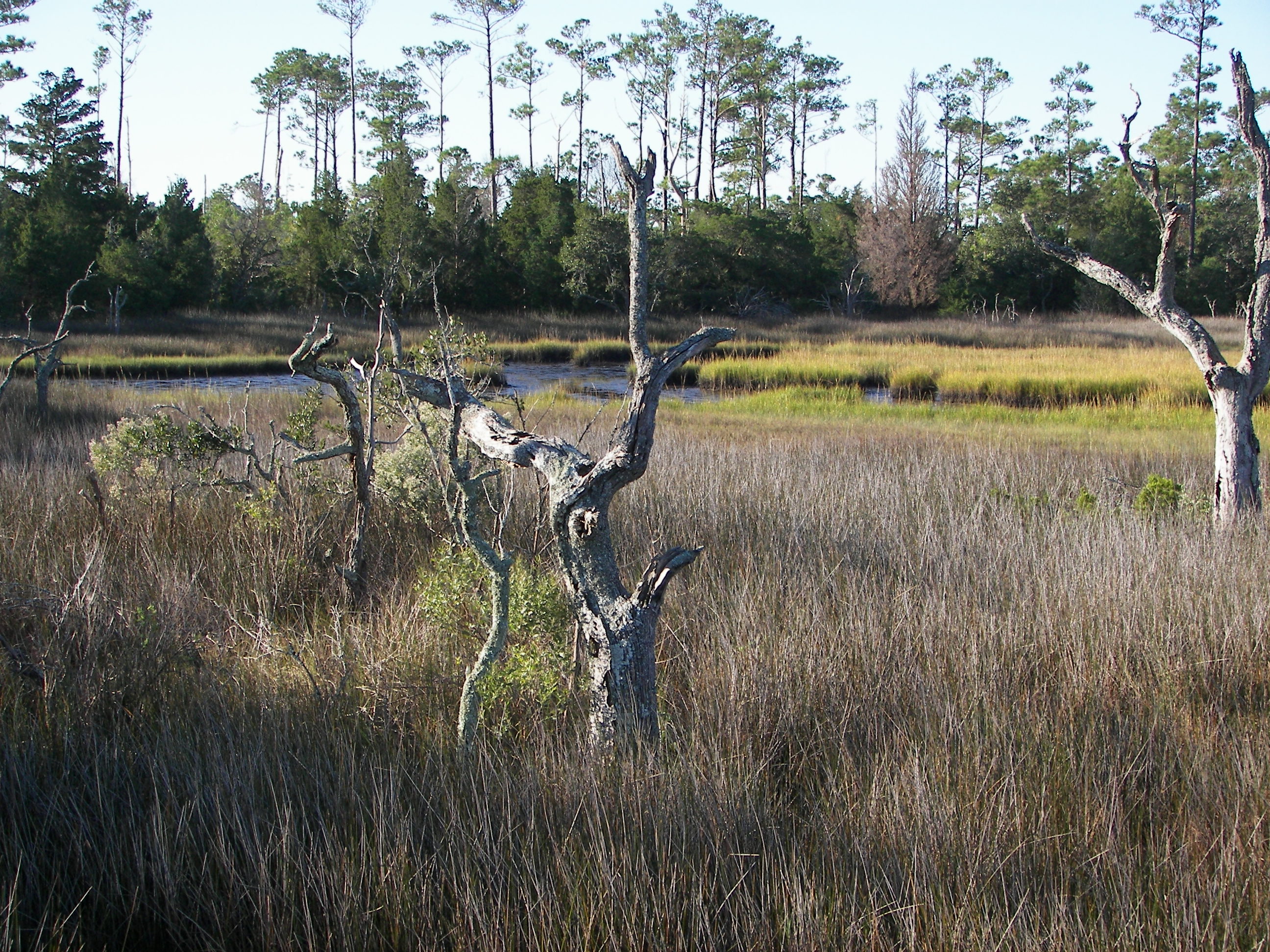 ./2006/Cedar Point/100_1393.JPG